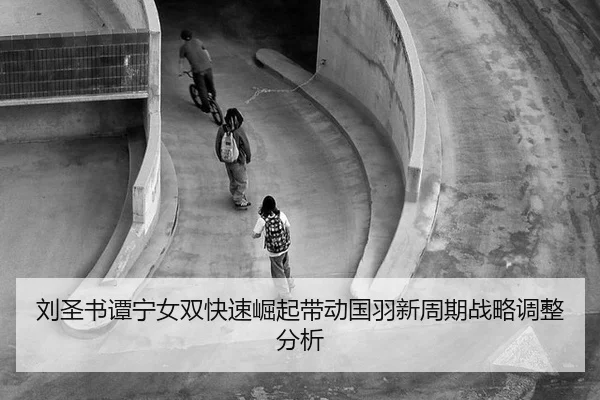 liu-sheng-shu-tan-ning-nv-shuang-kuai-su-jue-qi-dai-dong-guo-yu-xin-zhou-qi-zhan-lve-tiao-zheng-fen-xi-2-349.jpg